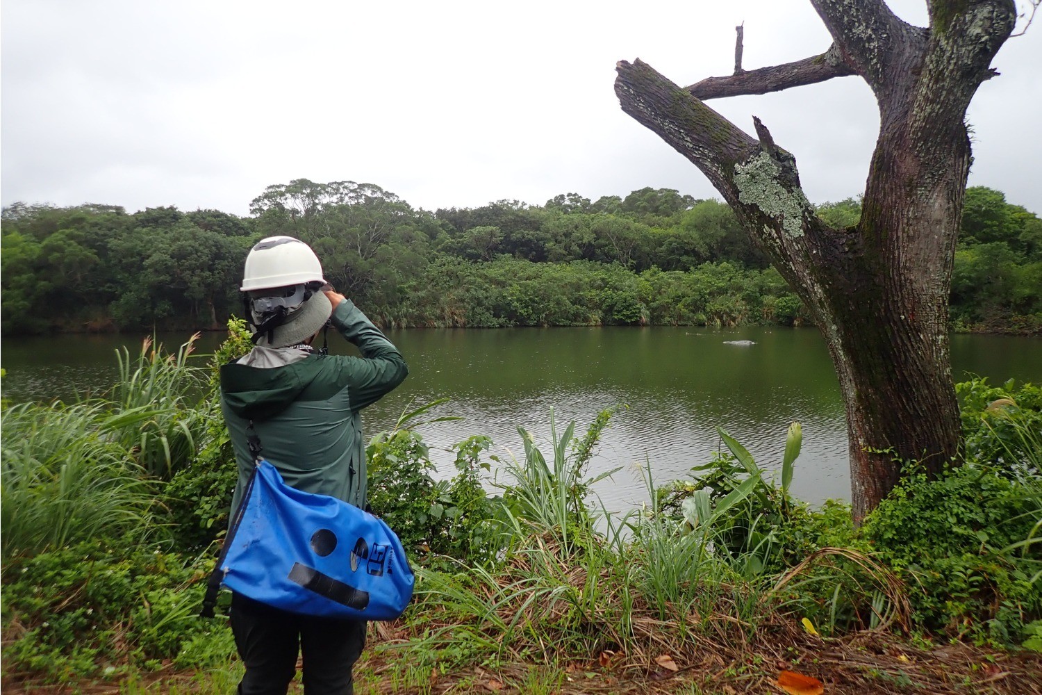 國華高爾夫球場生態監測