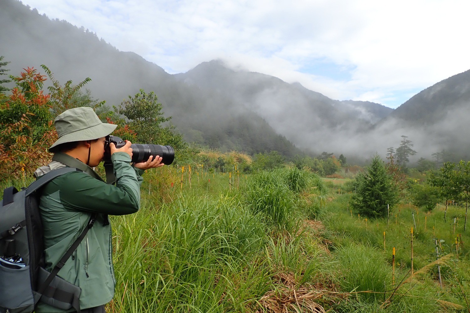 114年武陵廢耕地生態復育區動物監測